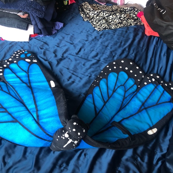 Blue butterfly wings - Picture 2 of 2